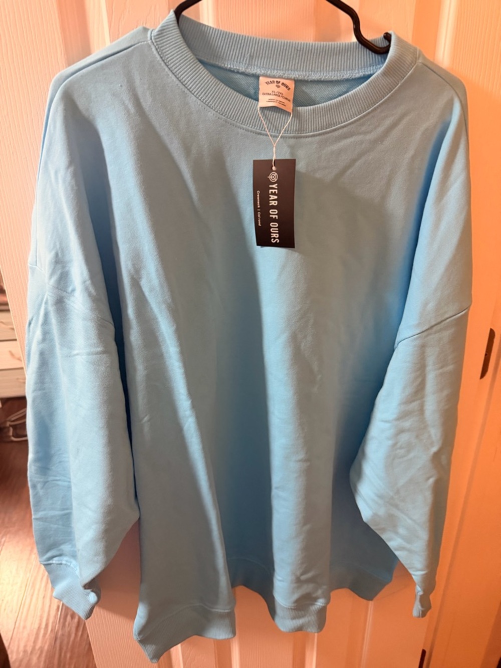 Year of Ours Pastel Blue Crewneck Sweatshirt